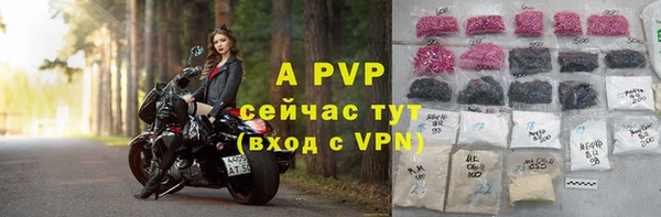 гашик Елизово