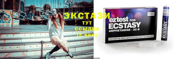 прущие грибы Елабуга
