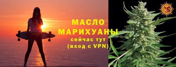 МДПВ Ельня