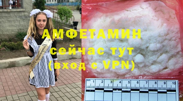 МДПВ Ельня