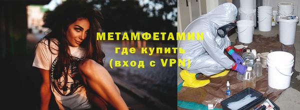 прущие грибы Елабуга