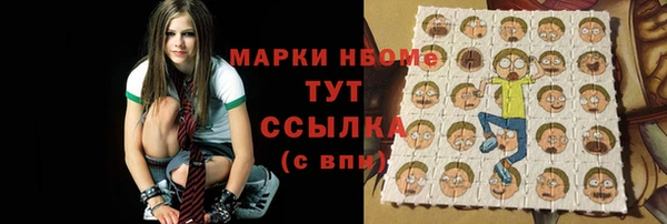 прущие грибы Елабуга