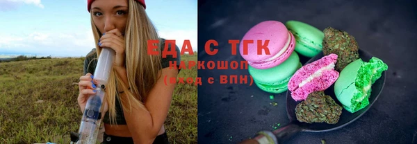 прущие грибы Елабуга