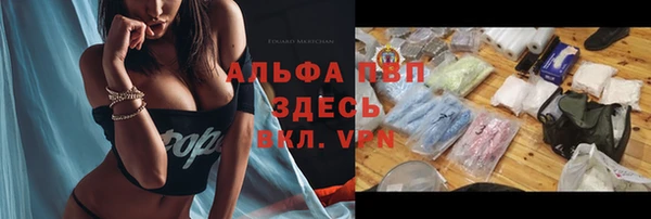 МДПВ Ельня