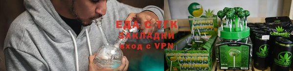 прущие грибы Елабуга