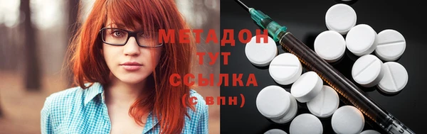 прущие грибы Елабуга