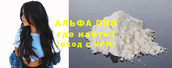 прущие грибы Елабуга