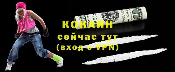 прущие грибы Елабуга