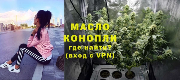 гашик Елизово