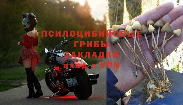 гашик Елизово