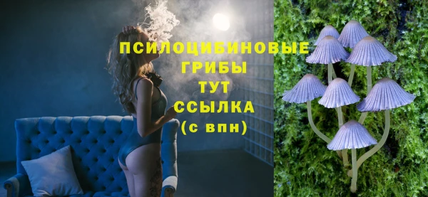 гашик Елизово