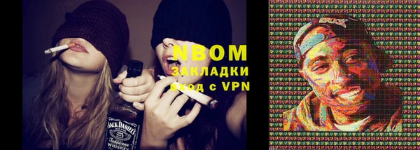 гашик Елизово