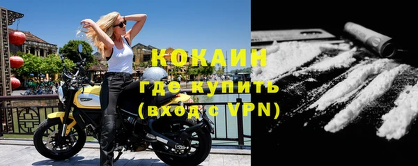 гашик Елизово