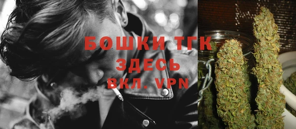 прущие грибы Елабуга
