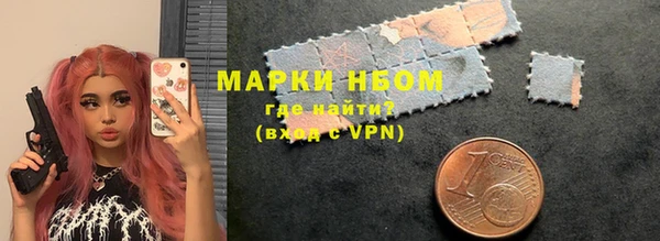 МДПВ Ельня