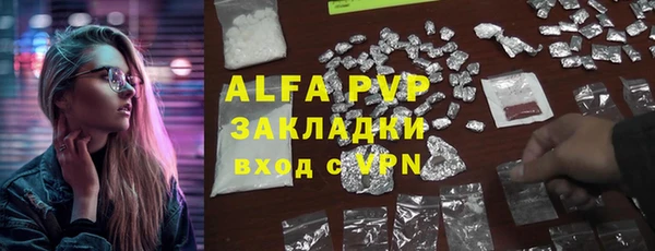 прущие грибы Елабуга