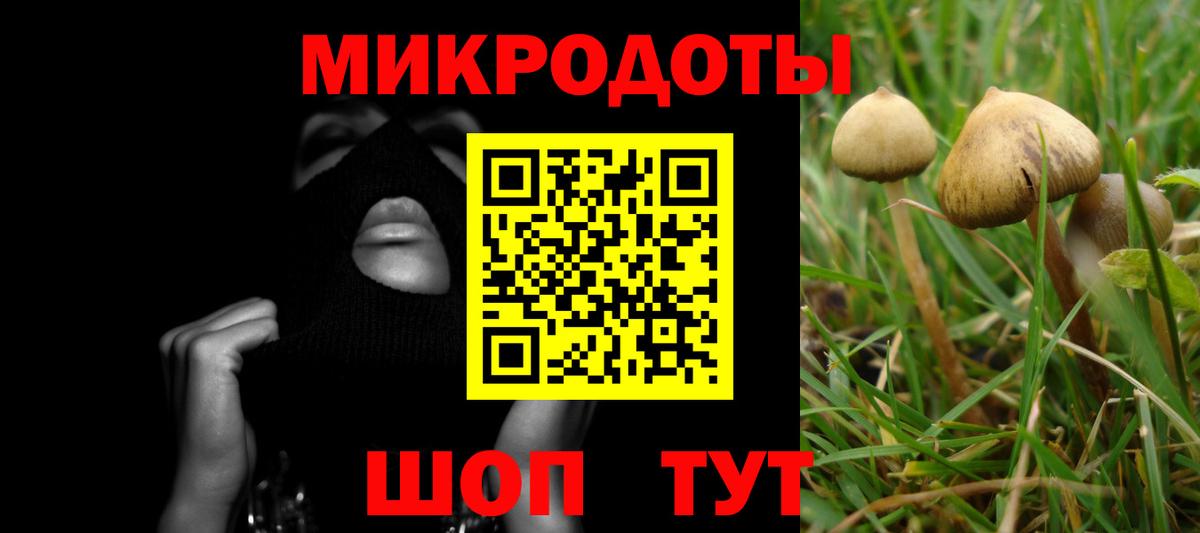 Малоярославец  Галлюциногенные грибы GOLDEN TEACHER  Вход с VPN 