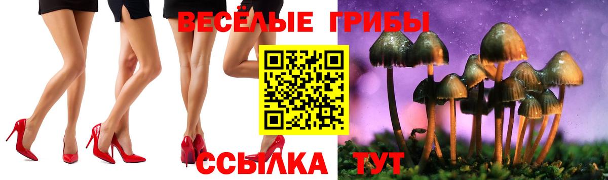 Псилоцибиновые грибы GOLDEN TEACHER Малоярославец